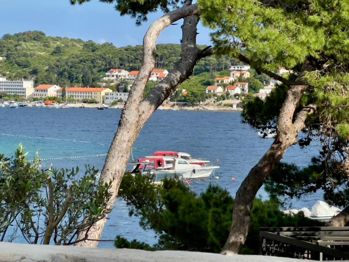 Residences Caroline *