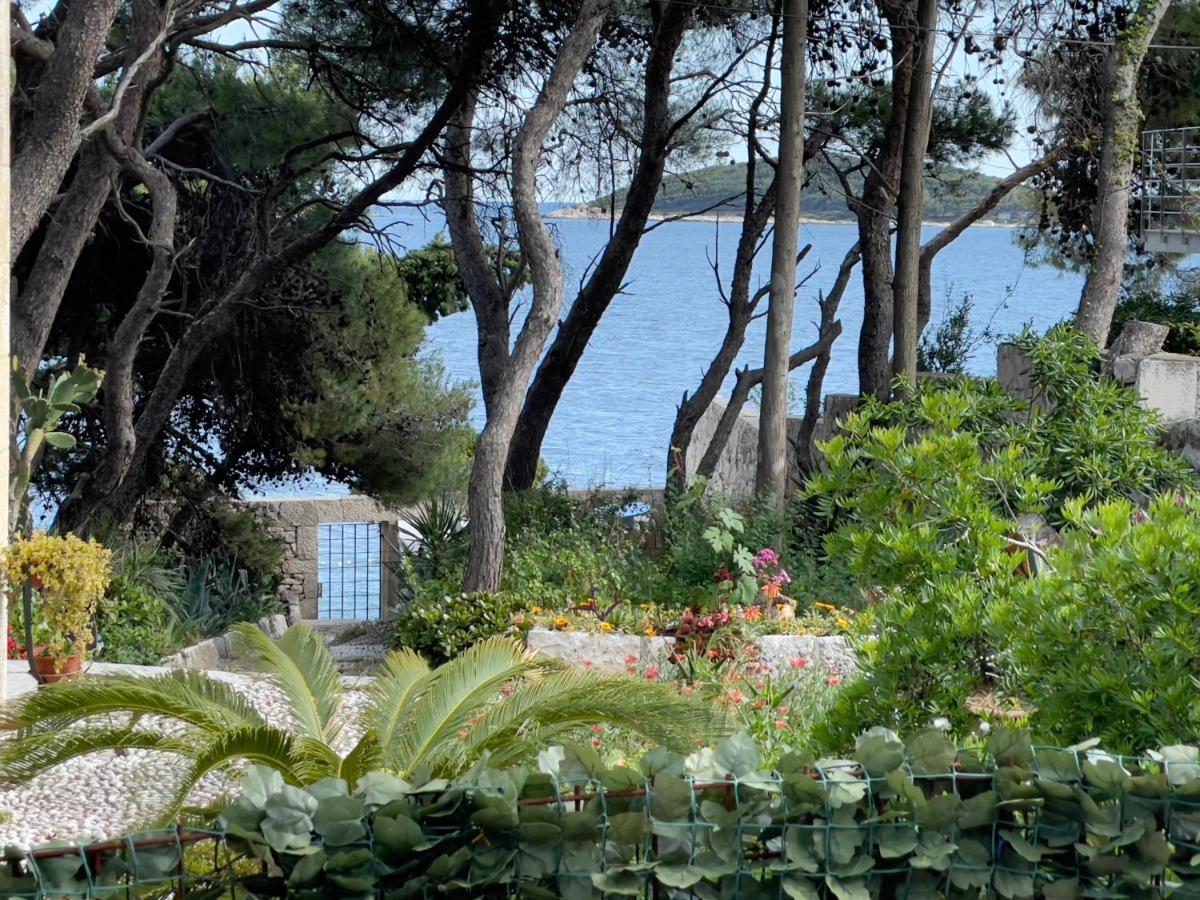 Residences Caroline Appartamento *